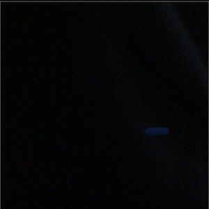 Meet your Posher, Delia